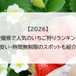 【2026】愛媛県で人気のいちご狩りランキング｜安い・時間無制限のスポットも紹介