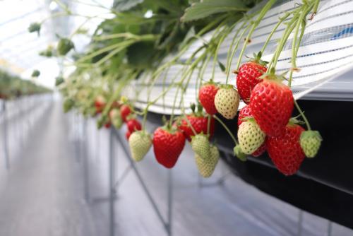 JRフルーツパーク仙台あらはま