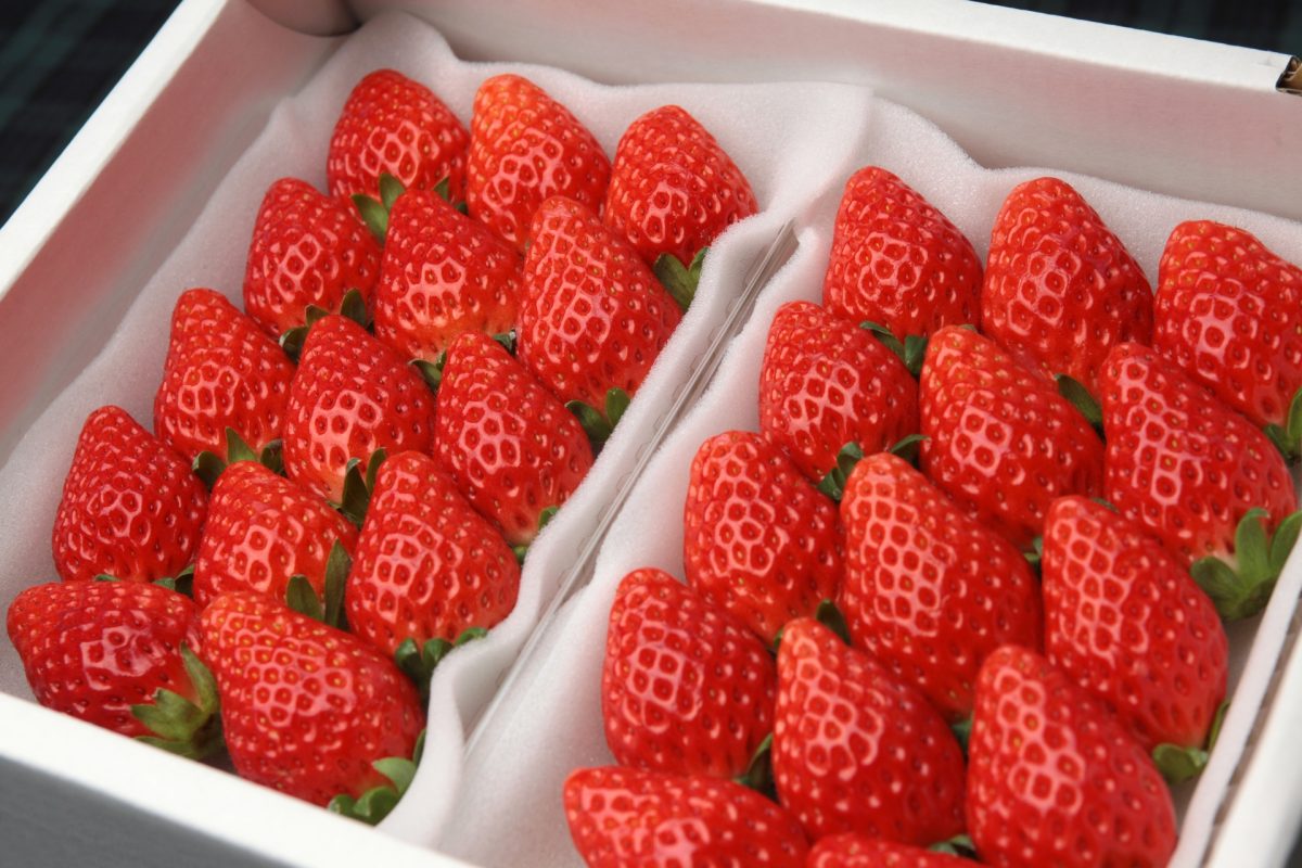 箱に詰められたいちご