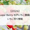 【2026】Sugar Berry 杉戸いちご農園のいちご狩り情報