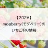【2026】mogberry(モグベリー)のいちご狩り情報