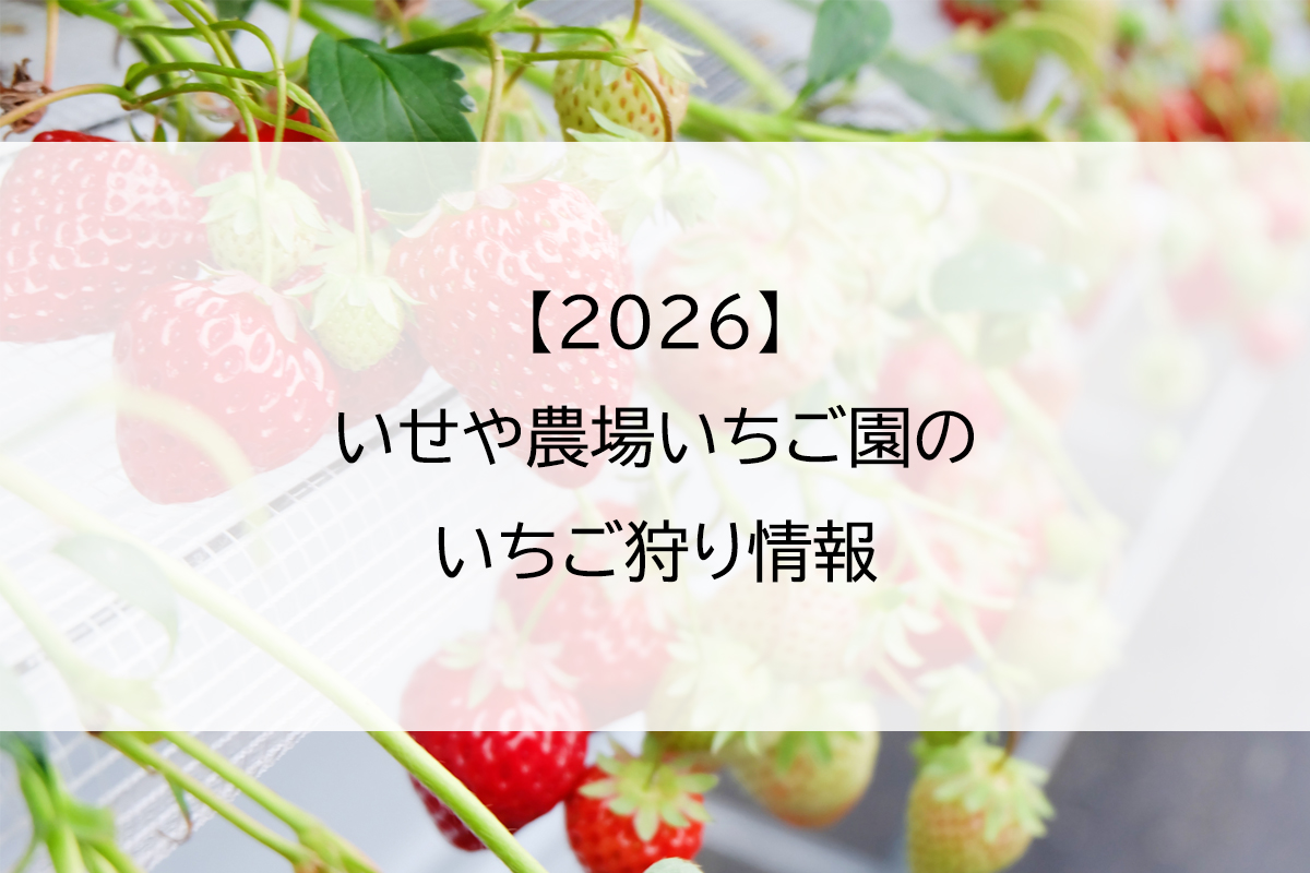 【2026】いせや農場いちご園のいちご狩り情報