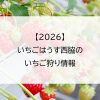 【2026】いちごはうす西脇のいちご狩り情報