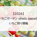【2026】いちごガーデン ohelo papa(オヘロパパ)のいちご狩り情報