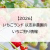 【2026】いちごランド 以志井農園のいちご狩り情報