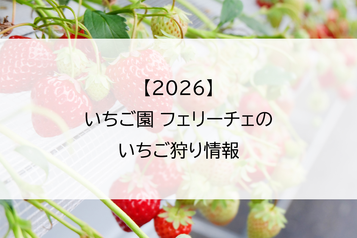 【2026】いちご園 フェリーチェのいちご狩り情報