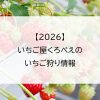 【2026】いちご屋くろべえのいちご狩り情報
