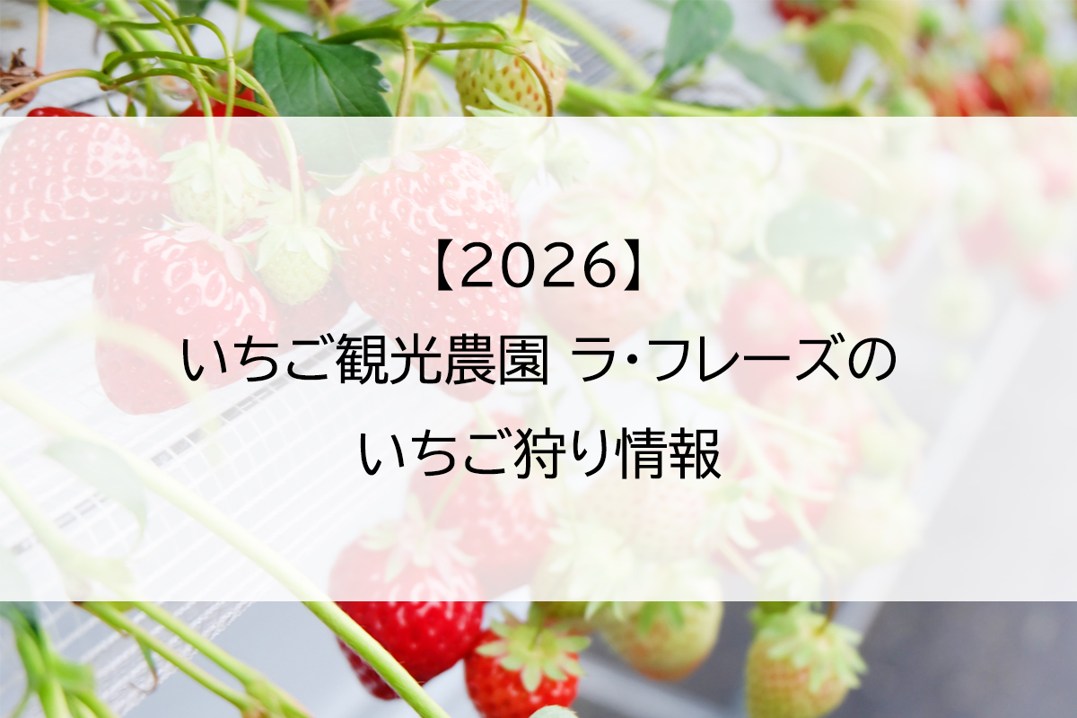 【2026】いちご観光農園 ラ・フレーズのいちご狩り情報