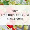 【2026】いちご農園「ワイズアグリ」のいちご狩り情報