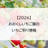 【2026】おおくしいちご園のいちご狩り情報