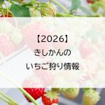 【2026】きしかんのいちご狩り情報