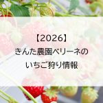 【2026】きんた農園ベリーネのいちご狩り情報