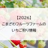 【2026】こまざわフルーツファームのいちご狩り情報
