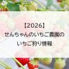 【2026】せんちゃんのいちご農園のいちご狩り情報