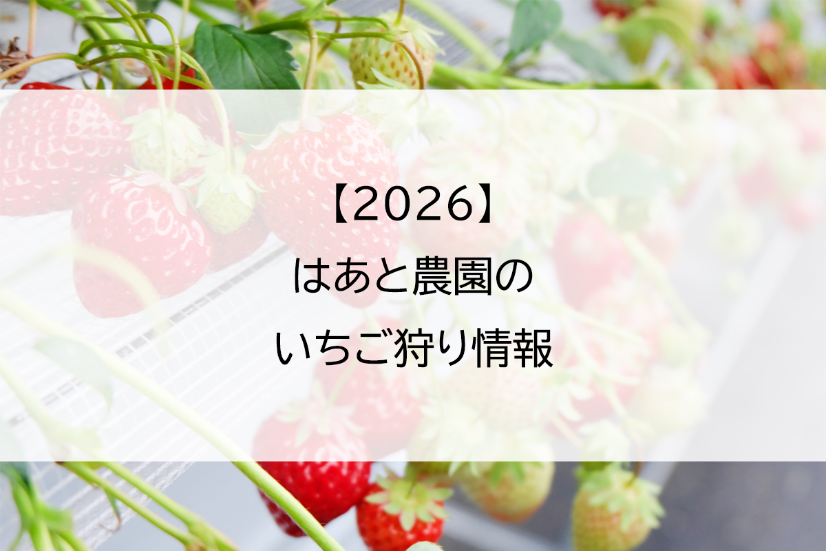 【2026】はあと農園のいちご狩り情報