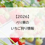 【2026】べり果のいちご狩り情報