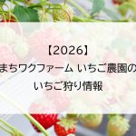 【2026】まちワクファーム いちご農園のいちご狩り情報