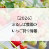【2026】まるしば農園のいちご狩り情報