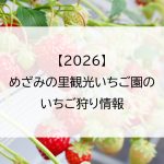 【2026】めざみの里観光いちご園のいちご狩り情報