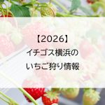 【2026】イチゴス横浜（ichigos YOKOHAMA）のいちご狩り情報