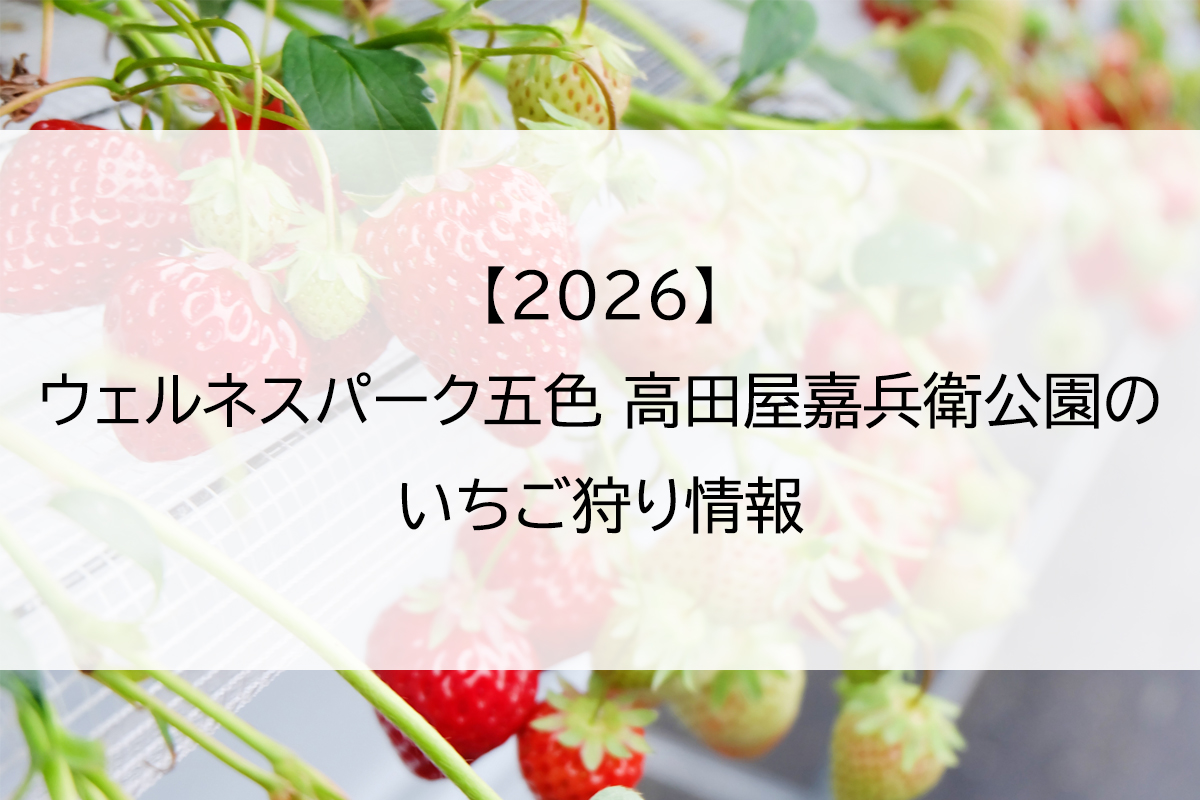 【2026】ウェルネスパーク五色 高田屋嘉兵衛公園のいちご狩り情報