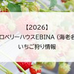 【2026】ストロベリーハウスEBINA (海老名)のいちご狩り情報