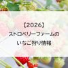 【2026】ストロベリーファームのいちご狩り情報