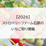 【2026】ストロベリーファーム石原のいちご狩り情報
