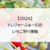 【2026】トレジャーふぁーむのいちご狩り情報