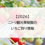 【2026】ニトリ観光果樹園のいちご狩り情報