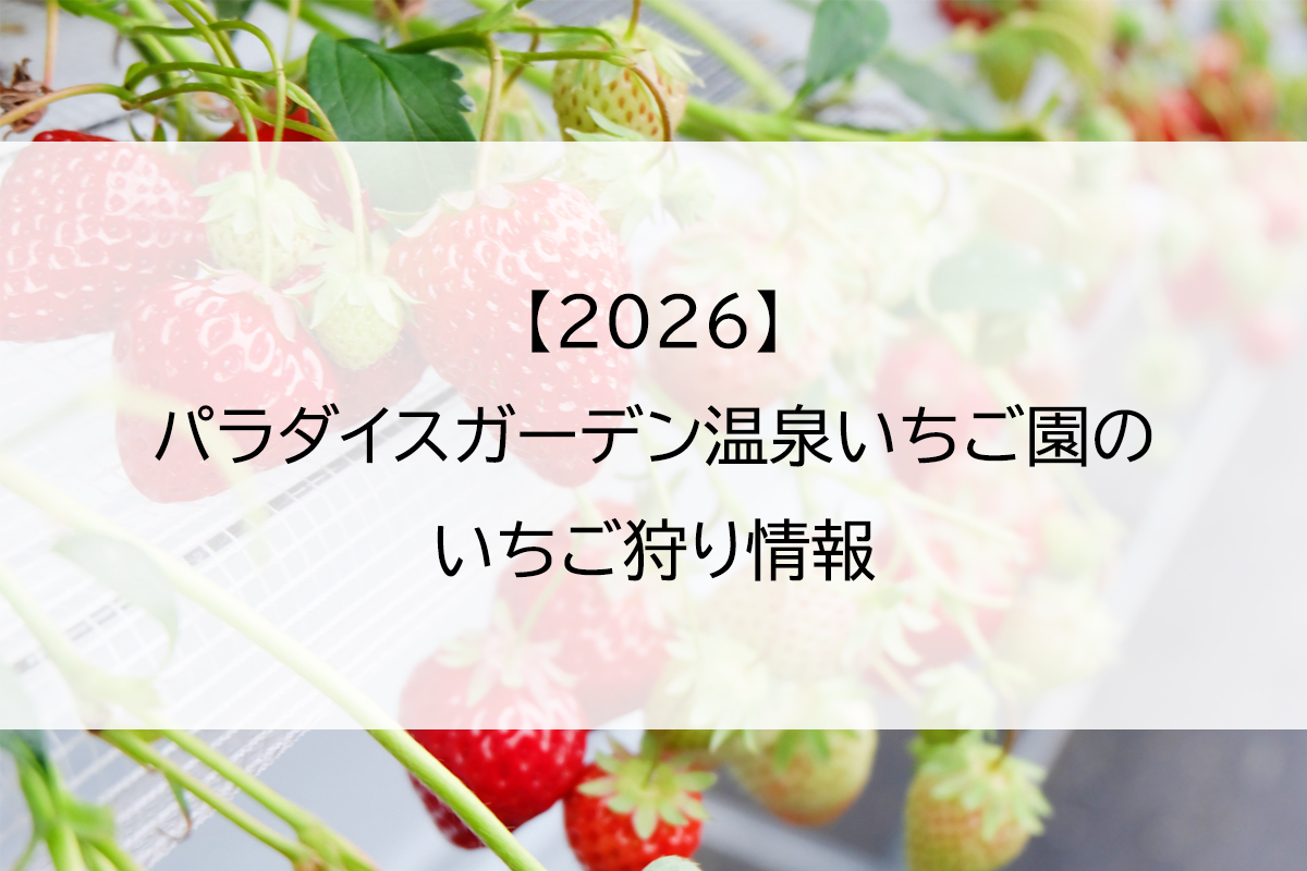 【2026】パラダイスガーデン温泉いちご園のいちご狩り情報