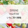【2026】マルダイのいちご狩り情報