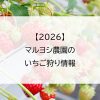【2026】マルヨシ農園のいちご狩り情報