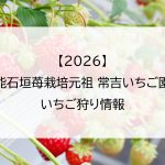 【2026】久能石垣苺栽培元祖 常吉いちご園のいちご狩り情報