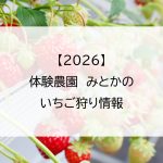 【2026】体験農園　みとかのいちご狩り情報