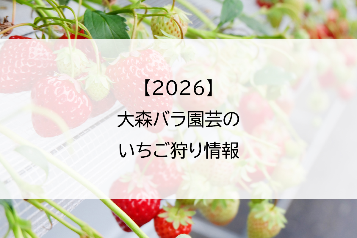 【2026】大森バラ園芸のいちご狩り情報