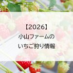 【2026】小山ファームのいちご狩り情報