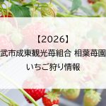【2026】山武市成東観光苺組合 相葉苺園のいちご狩り情報