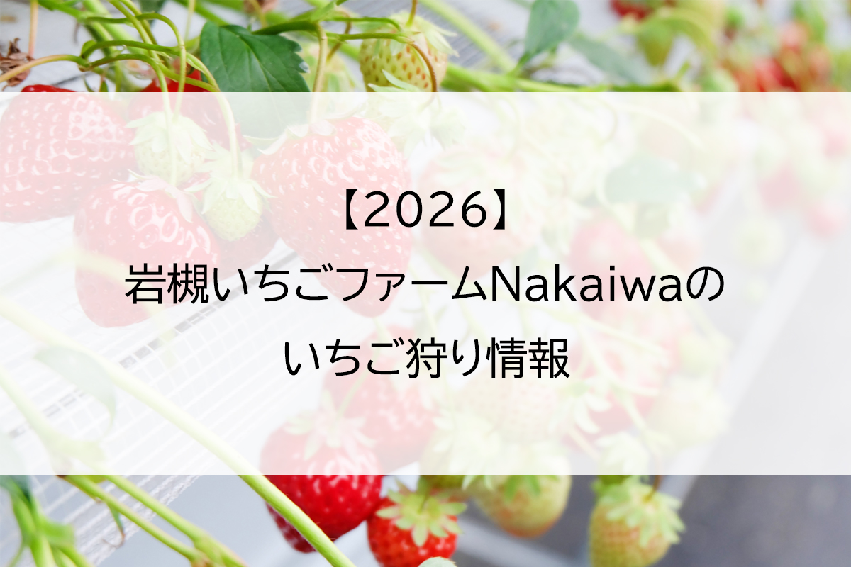 【2026】岩槻いちごファームNakaiwaのいちご狩り情報