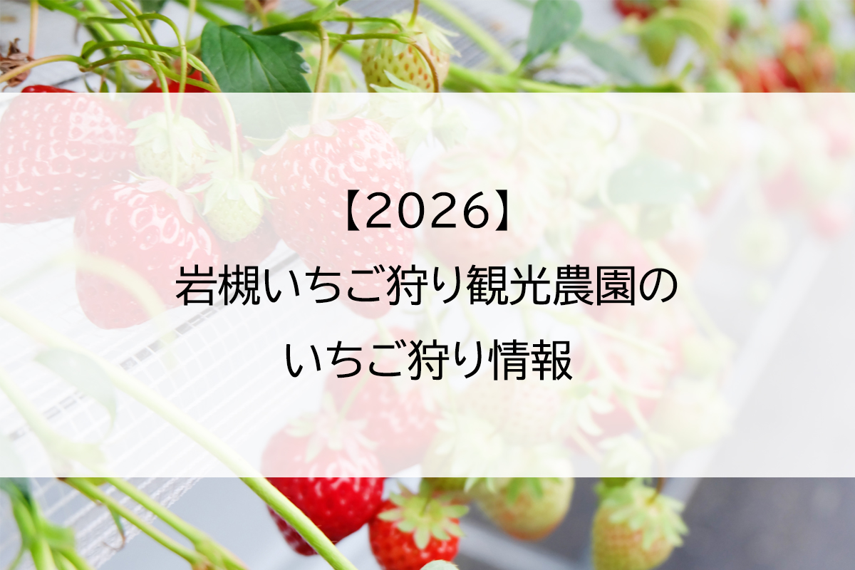 【2026】岩槻いちご狩り観光農園のいちご狩り情報