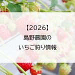 【2026】島野農園のいちご狩り情報