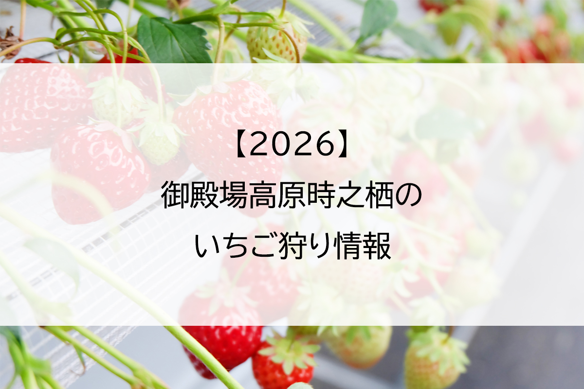 【2026】御殿場高原時之栖のいちご狩り情報