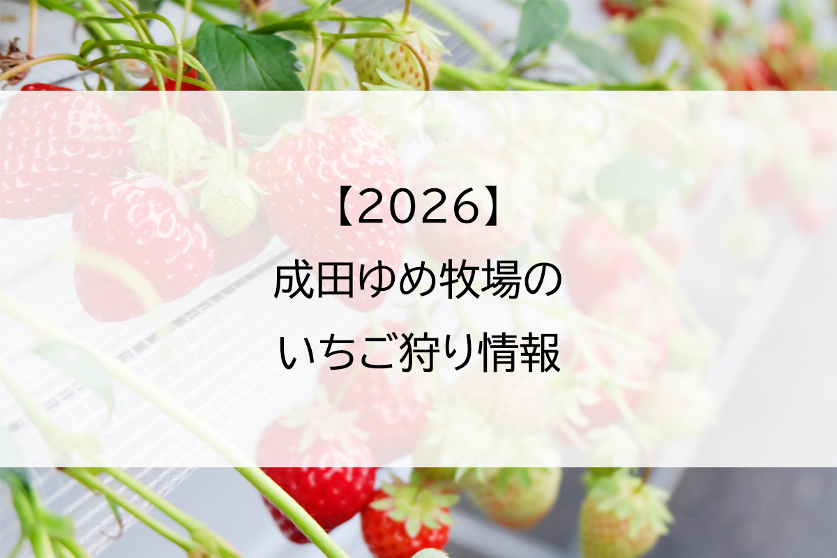 【2026】成田ゆめ牧場のいちご狩り情報