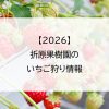 【2026】折原果樹園のいちご狩り情報