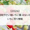 【2026】昭和やさい畑いちご園 みないのいちご狩り情報