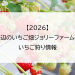 【2026】海辺のいちご畑ジョリーファームのいちご狩り情報