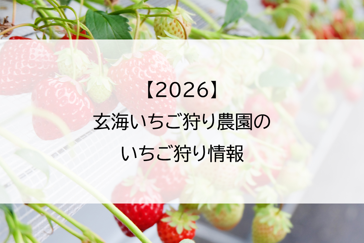 【2026】玄海いちご狩り農園のいちご狩り情報