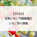 【2026】甘熟いちごや燦燦園のいちご狩り情報