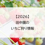 【2026】田中園のいちご狩り情報