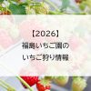 【2026】福島いちご園のいちご狩り情報